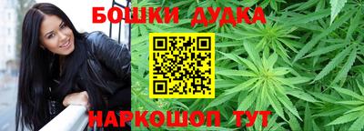 Альфа ПВП Малгобек