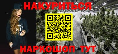Альфа ПВП Малгобек