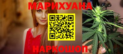 Альфа ПВП Малгобек